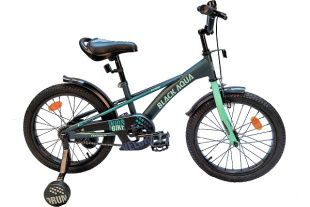 Велосипед Black Aqua Velorun 16" (бирюзовый) KG1619 фото 130622