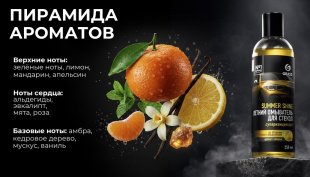 GRASS Моющее средство для стекол "Summer Shine" лимон (концентрат) 250 мл (арт. 110584) фото 136838