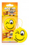 Ароматизатор сухой AREON SMILE vanilla 704-SMR-311