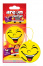 Ароматизатор сухой AREON SMILE No smoking 704-SMR-313
